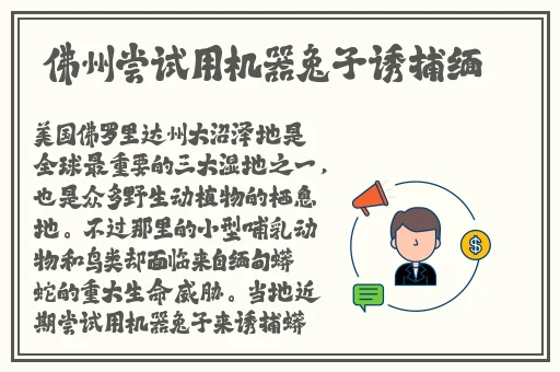 办公室迈开腿让我吃一吃扇贝
